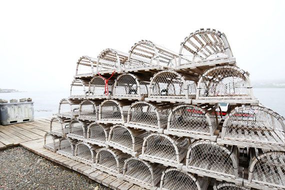 Des cages à homards