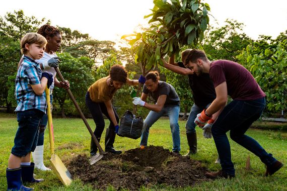 Des personnes qui plantent un arbre.