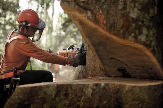 Un ouvrier déplace une planche de bois dans une scierie.