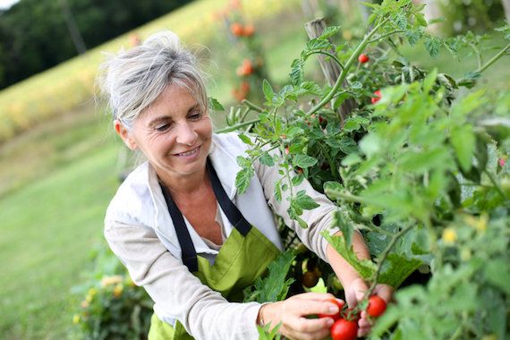 personne âgée jardin