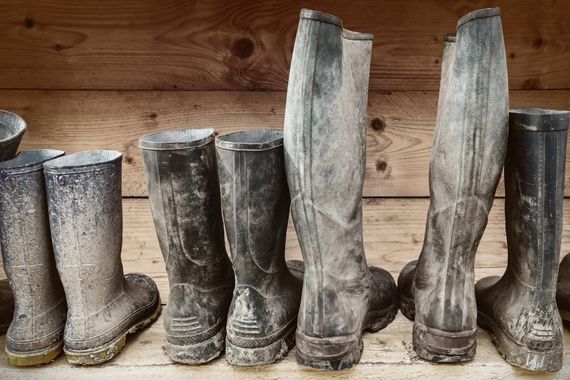 Des paires de bottes