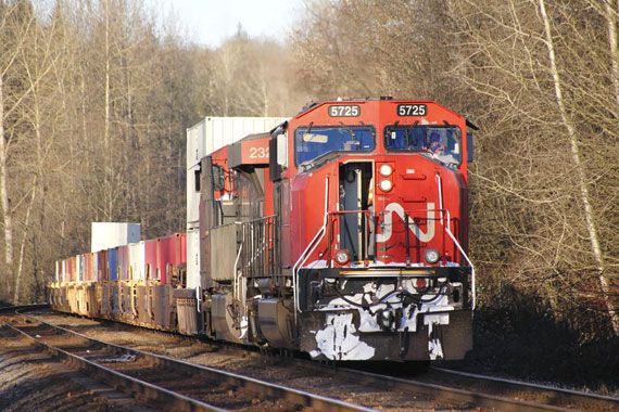 Un train du Canadien National.