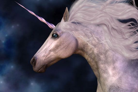 Une licorne de profil.