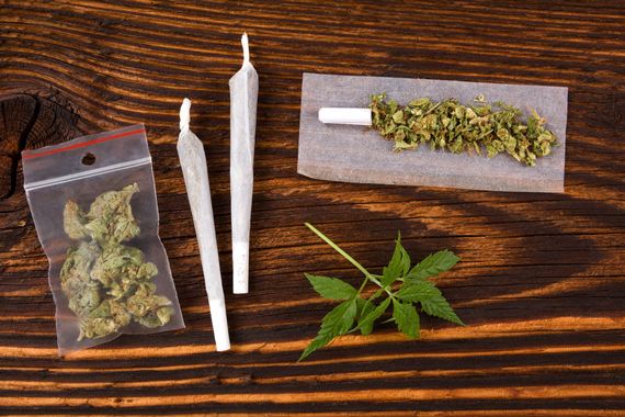 De sjoints, des cocottes de cannabis et une feuille