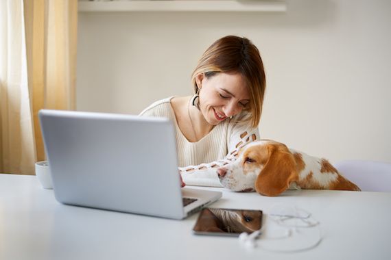 Un chien regarde son maître au travail