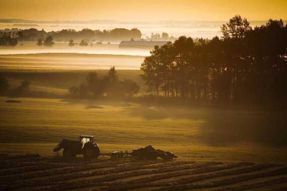 Un tracteur dans un champ agricole.