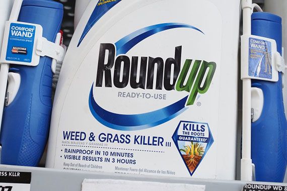 Un contenant de RoundUp.