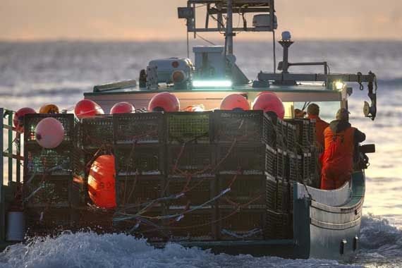 Un bateau de pêche.