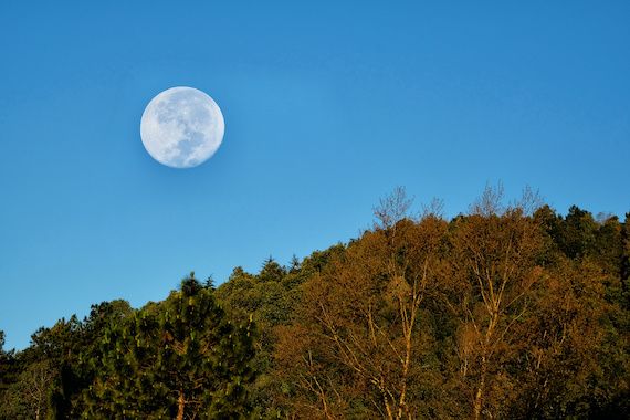 Lune en plein jour